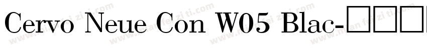Cervo Neue Con W05 Blac字体转换